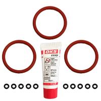 DeLonghi Wartungsset für Brüheinheit, Brühkolben und Druckschläuche